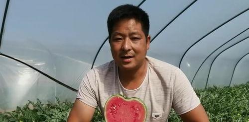 桑杰吃瓜图片,揭秘瓜界新潮流