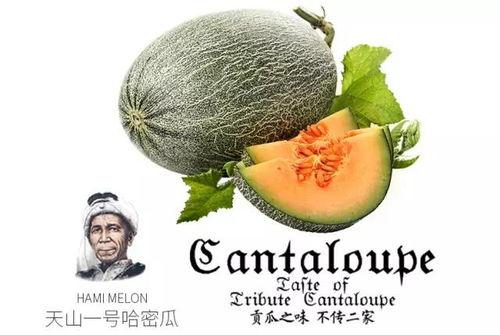 吃瓜号名字,网络舆论场中的瓜田乐土