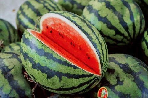 玉树最近吃瓜,揭秘近期热门吃瓜事件