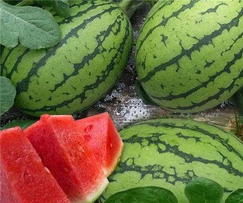 各平台吃瓜,各大平台吃瓜事件大盘点