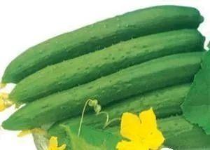 吃三瓜好吗,吃三瓜，健康又美味