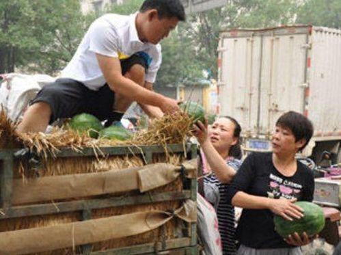 吃瓜的老人,吃瓜老人的智慧生活与时代变迁