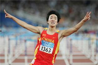 吃瓜群众评价刘翔,从辉煌到争议，吃瓜群众眼中的体坛传奇