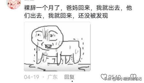 网友分享吃瓜视频,带你领略幕后真相