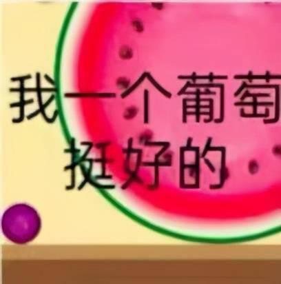 吃瓜不想努力了,揭秘“吃瓜不想努力”的诱惑与反思