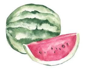 带你吃瓜鬼画符,鬼画符背后的神秘世界