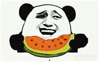 吃瓜群众小刘,揭秘娱乐圈那些事儿