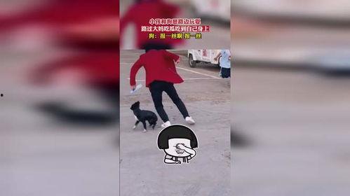 路过吃瓜少年,揭秘娱乐圈幕后故事