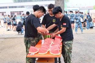 秦安吃瓜群众事件,网络舆论下的社会现象解析