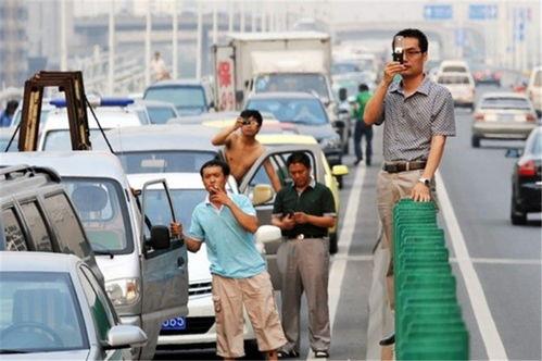 秦安吃瓜群众事件,网络舆论下的社会现象解析