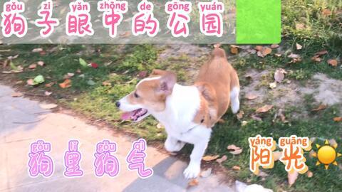 不想每天吃瓜,拥抱宁静生活