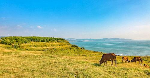 吃瓜在线海角,吃瓜在线探寻神秘海域