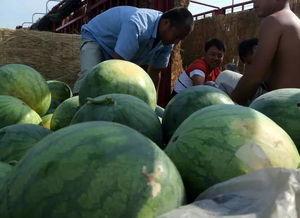 空场打12吃瓜,一场12瓜的神秘盛宴