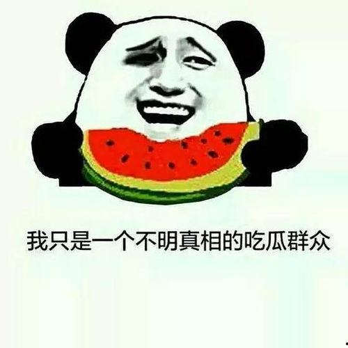 吃瓜的我全集,揭秘娱乐圈背后的真相与秘密