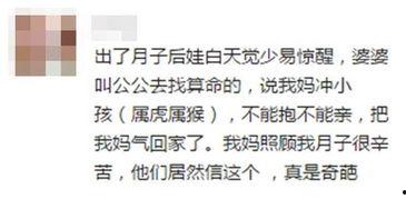 吃瓜系统吐槽,揭秘娱乐圈背后的真相与笑料