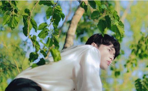 张艺兴吃瓜情侣,揭秘娱乐圈情侣甜蜜幕后