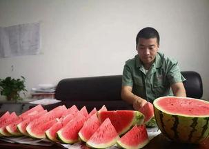 近期最热的吃瓜,揭秘近期最热吃瓜事件背后的真相