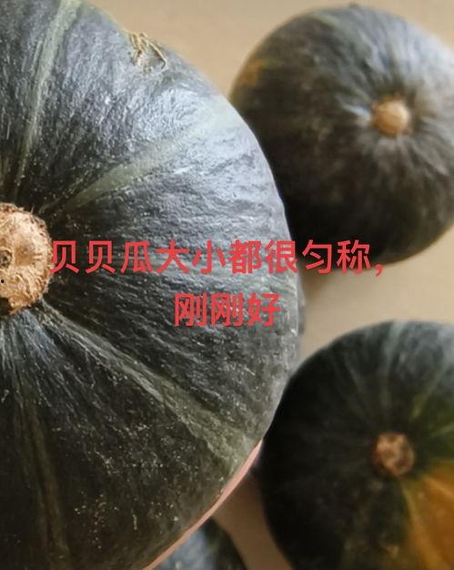 宝宝吃贝贝瓜吗