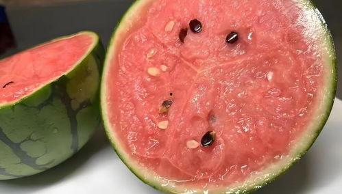 吃瓜主页,带你领略网络八卦的魅力