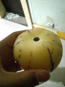 吃瓜原神苹果,吃瓜玩家揭秘游戏背后的秘密