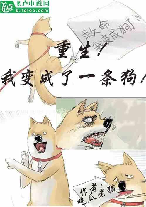 懵懂吃瓜小说全文阅读,青春校园的甜蜜误会