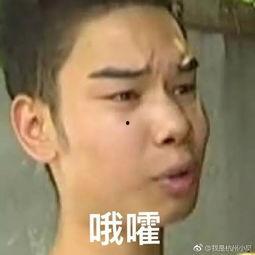 小吴带你吃瓜,尽享味蕾盛宴