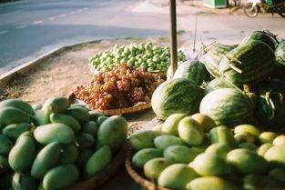 甘肃吃瓜叫什么,吃瓜群众的独特称呼