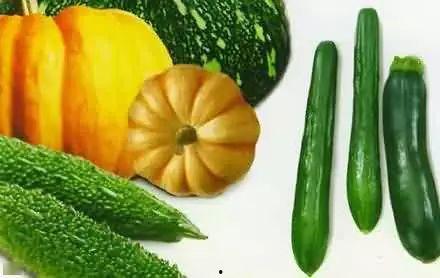 泗水吃瓜大师是谁,瓜界传奇人物背后的故事