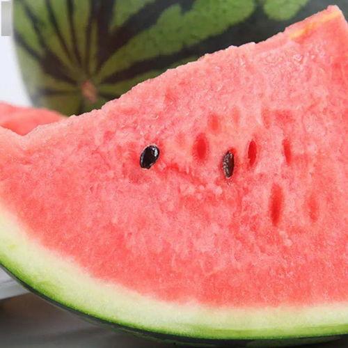 泗水吃瓜大师是谁,瓜界传奇人物背后的故事