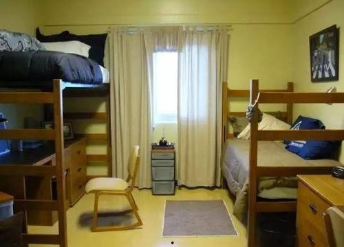 舍长请宿舍吃瓜,舍长请客共享甜蜜瓜果