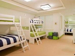 舍长请宿舍吃瓜,舍长请客共享甜蜜瓜果