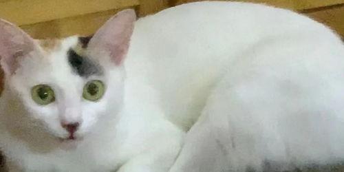 广州邻居吃瓜,吃瓜群众的欢乐时光