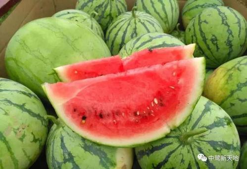 五一吃瓜今日吃瓜娜娜往日大瓜