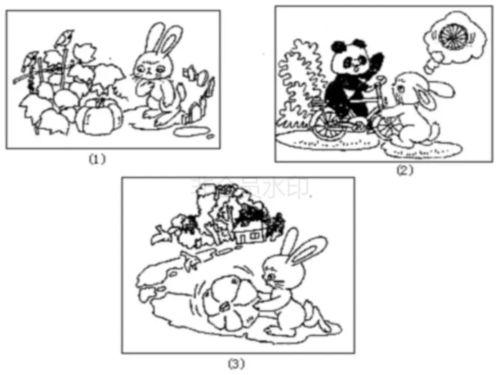 拔河吃瓜看图写话,一场别开生面的民间体育盛宴