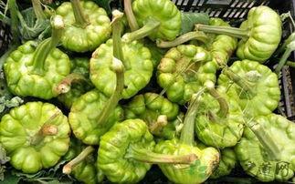 云南姜柄瓜蘸酱吃,姜柄瓜蘸酱的独特风味体验