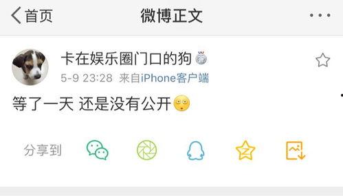 吃瓜爆料文字,吃瓜爆料背后的真相大起底