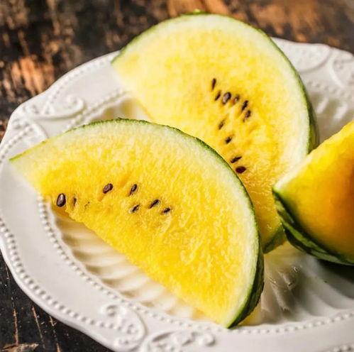 香格里拉吃瓜,瓜果飘香，品味夏日清凉