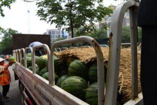 吃瓜小沂水,揭秘吃瓜小沂水的趣味生活