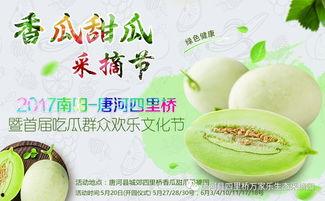 河南大网红吃瓜,揭秘娱乐圈幕后真相