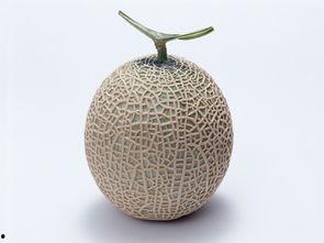 怀孕吃哈密瓜可以吃吗,哈密瓜——孕妇的天然营养佳品