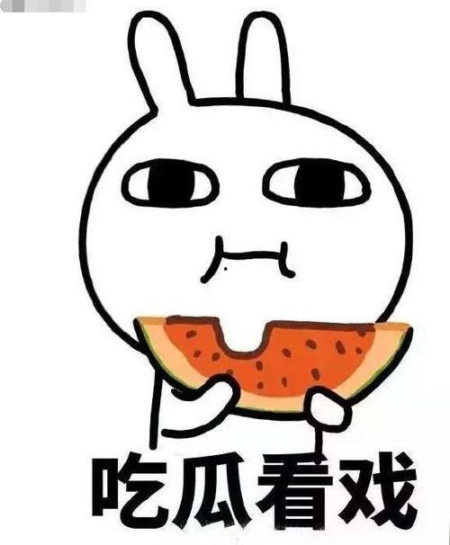 玄学吃瓜后续,揭秘神秘事件背后的真相与玄机