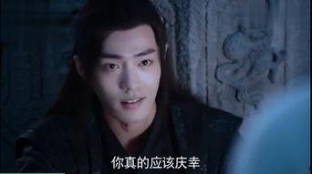 蓝湛吃瓜吗,瓜田里的神秘食客