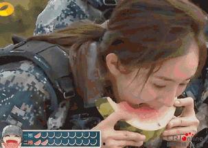 熊猫变成了吃瓜群众,从国宝到吃瓜群众的奇妙之旅