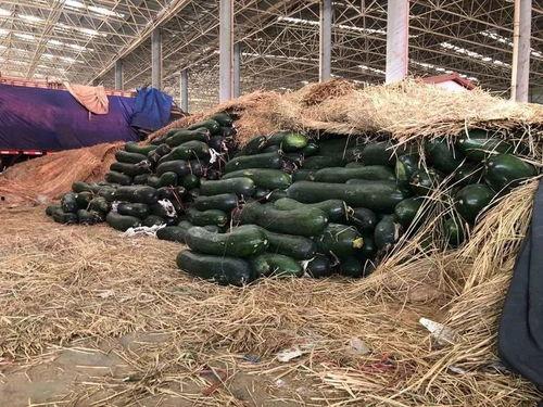 永年人吃瓜事件