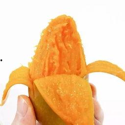 胖贵妃吃瓜,胖贵妃的瓜田奇遇记