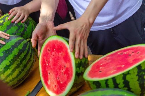 兰州高校吃瓜行为,揭秘校园热点背后的故事