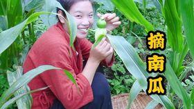 林木妹妹吃瓜系统,揭秘娱乐圈幕后风云