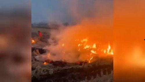 吃瓜蒙主翻车,揭秘网络舆论的狂欢与反转