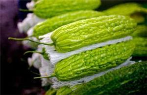 孕妇可以吃佛山瓜,佛山瓜，孕妇的天然营养佳品