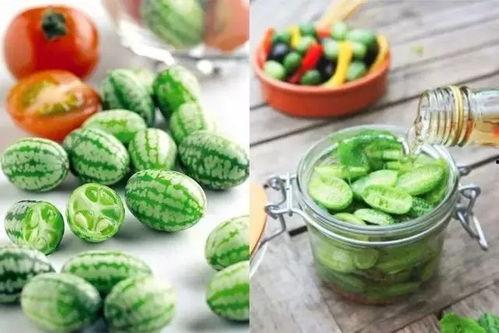 大瓜吃瓜的视频大全